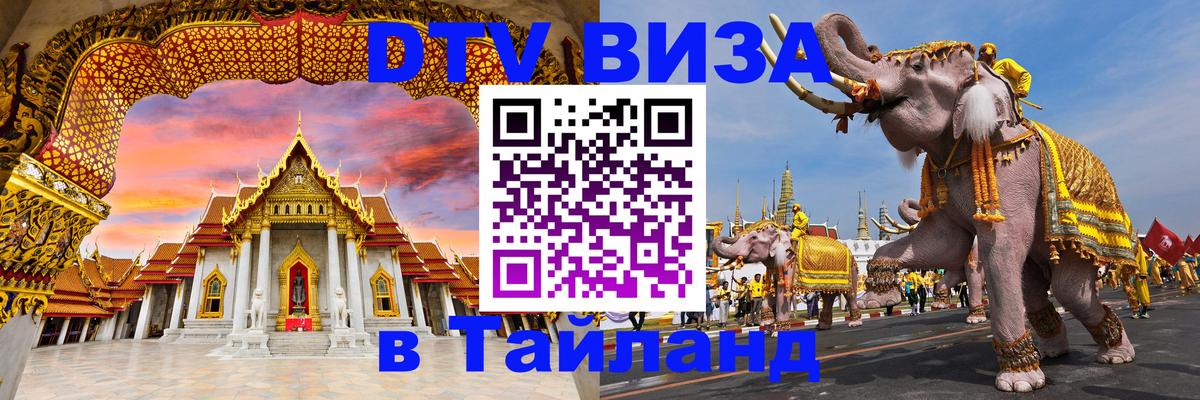 Сколько стоит DTV виза — актуальные цены, оформление даже без документов - Новочебоксарск 